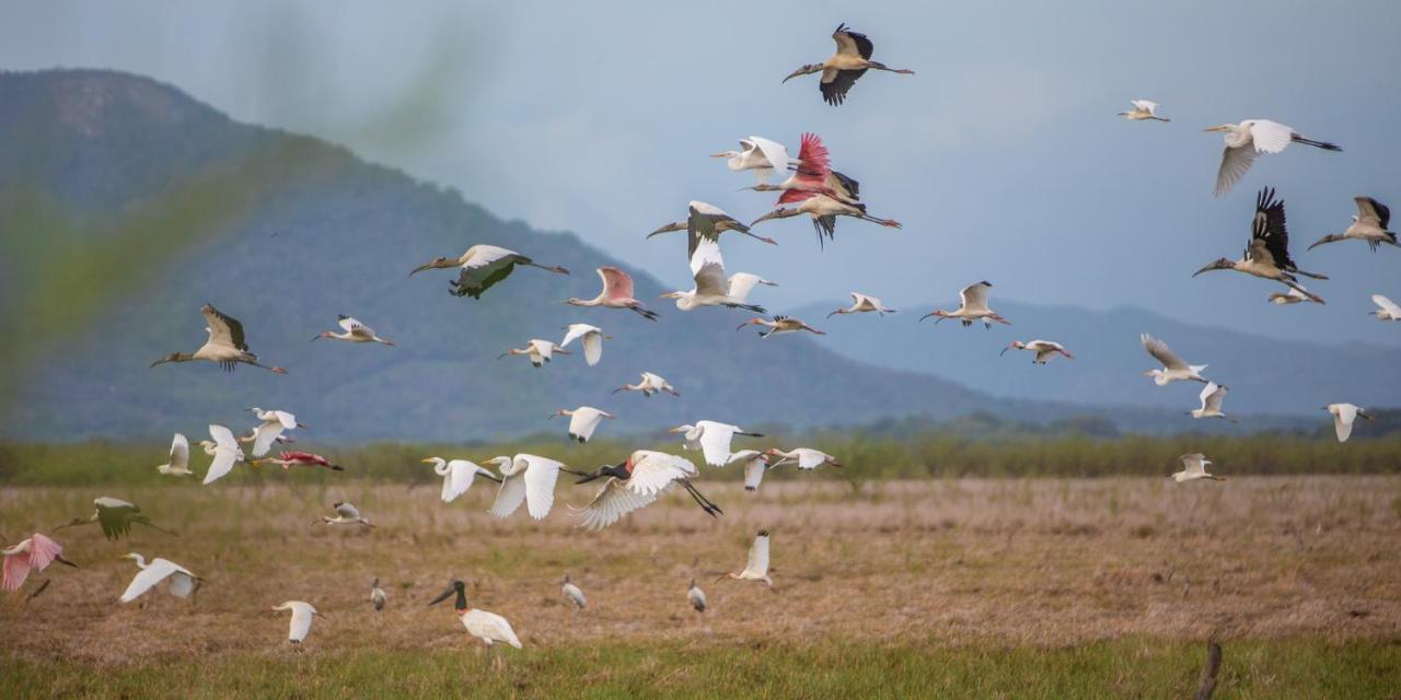 Rancho Humo Estancia Puerto Humo  Kültér fotó