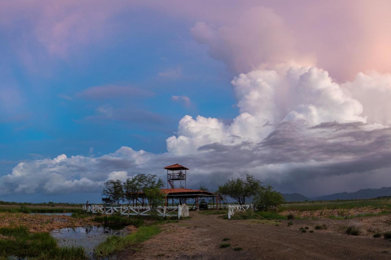 Rancho Humo Estancia Puerto Humo  Kültér fotó