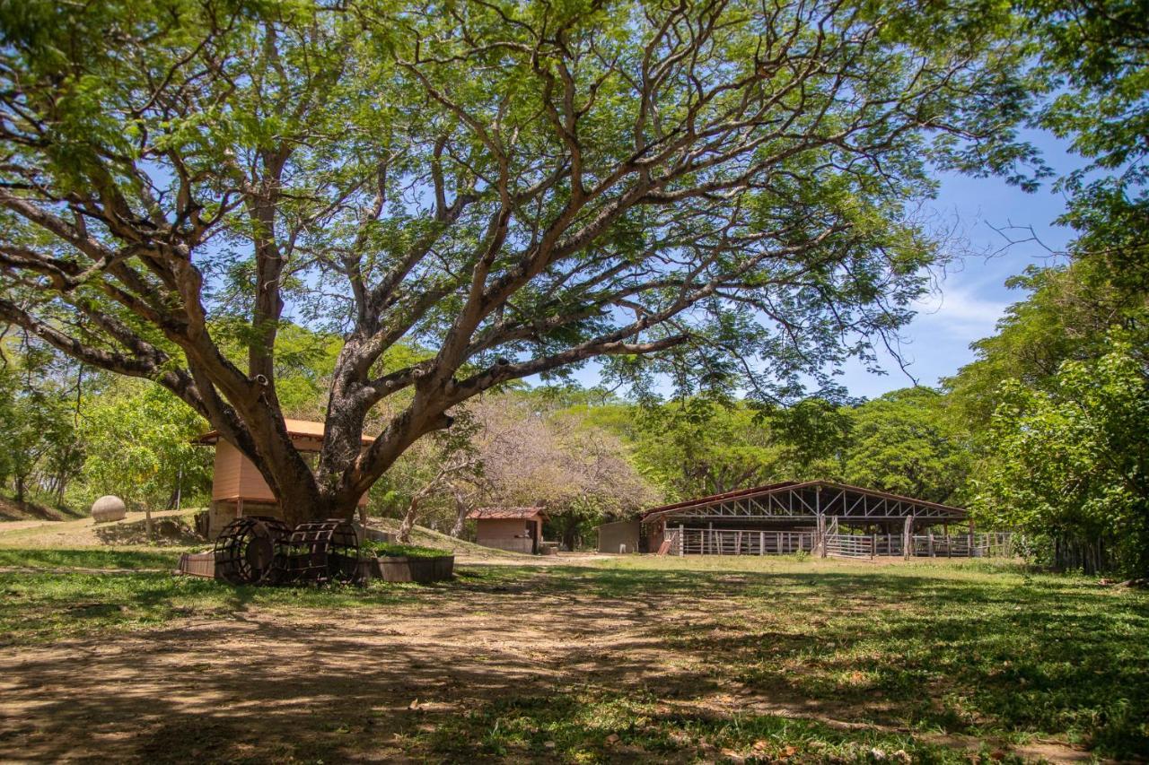 Rancho Humo Estancia Puerto Humo  Kültér fotó