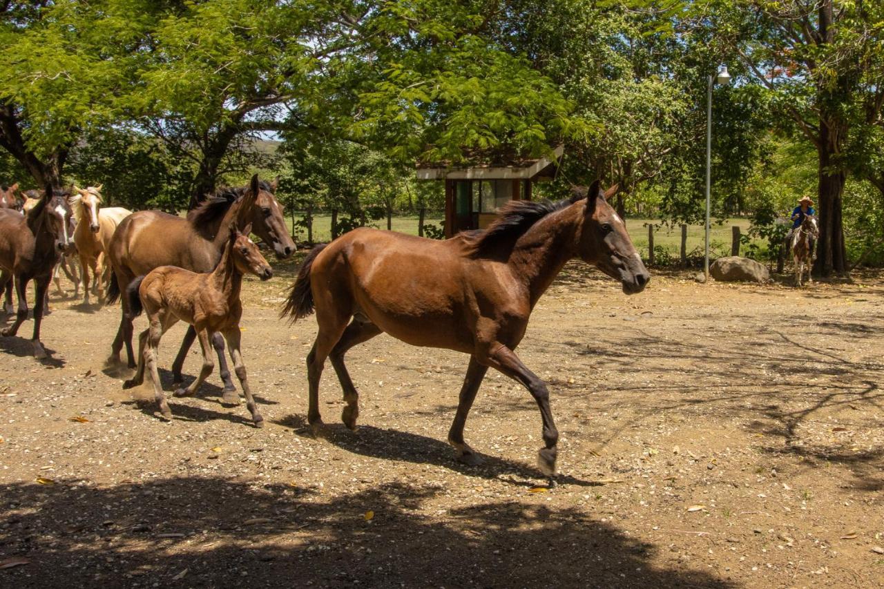 Rancho Humo Estancia Puerto Humo  Kültér fotó